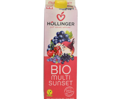 Bio Hollinger-Multi Juice Red Fruits 1L