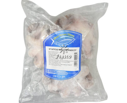 Blue Green Wave Indo-Pacific Ocean Octopus 1000g