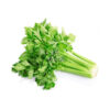 Celery 1pc