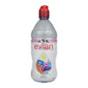 Evian Natural Mineral Water 750ml