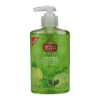 Imperial Leather Hand Wash Antibacterial Cucumber & Aloe Vera 300ml