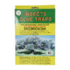 Insects Glue Traps 10pcs