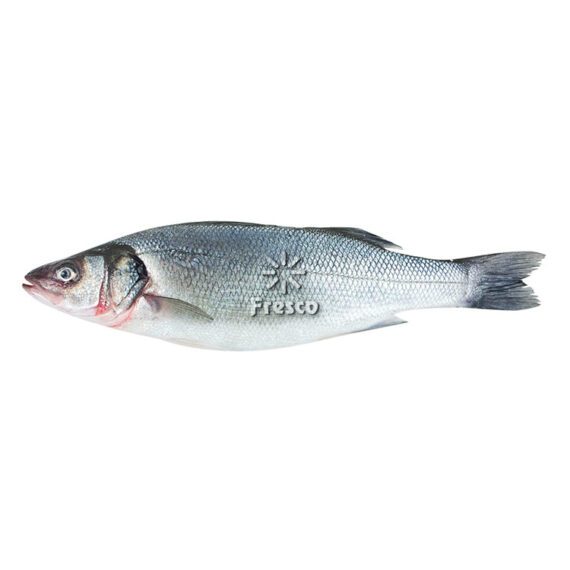 Mediterranean Sea Bass Fresh Fish 600-649g